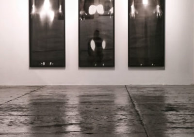 Carol-Anne Gainer, Trinity Sentinels, Photogram, 2006, 200 x 150cm